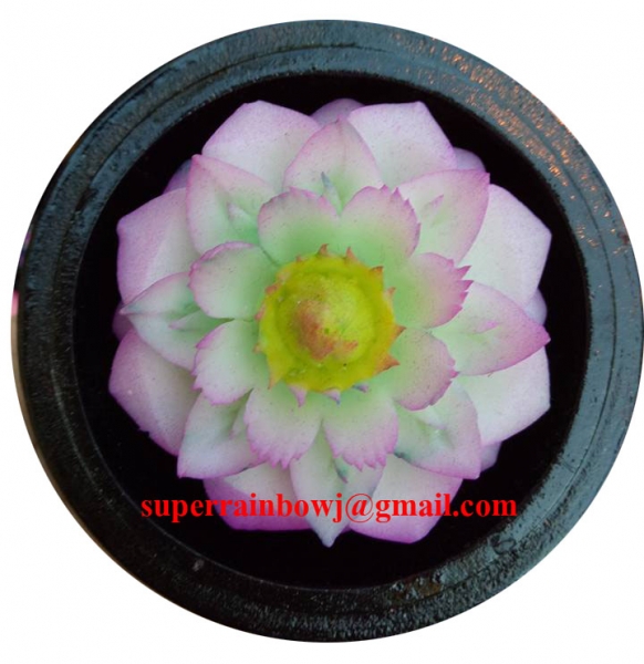 

Soap carving in lacquerware
# SC-18

