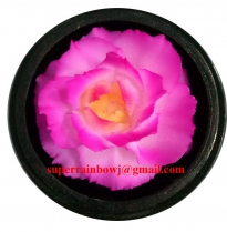 
Soap carving in lacquerware
# SC-4
